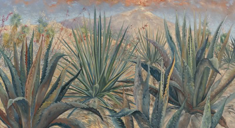Agaves Azules by Jane Abrams