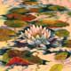 Pond Flower by Jane Abrams